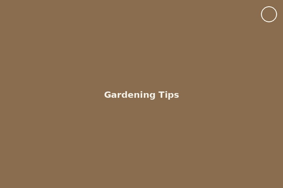 The Right Cocopeat Potting Mix for Terrace Vegetables
