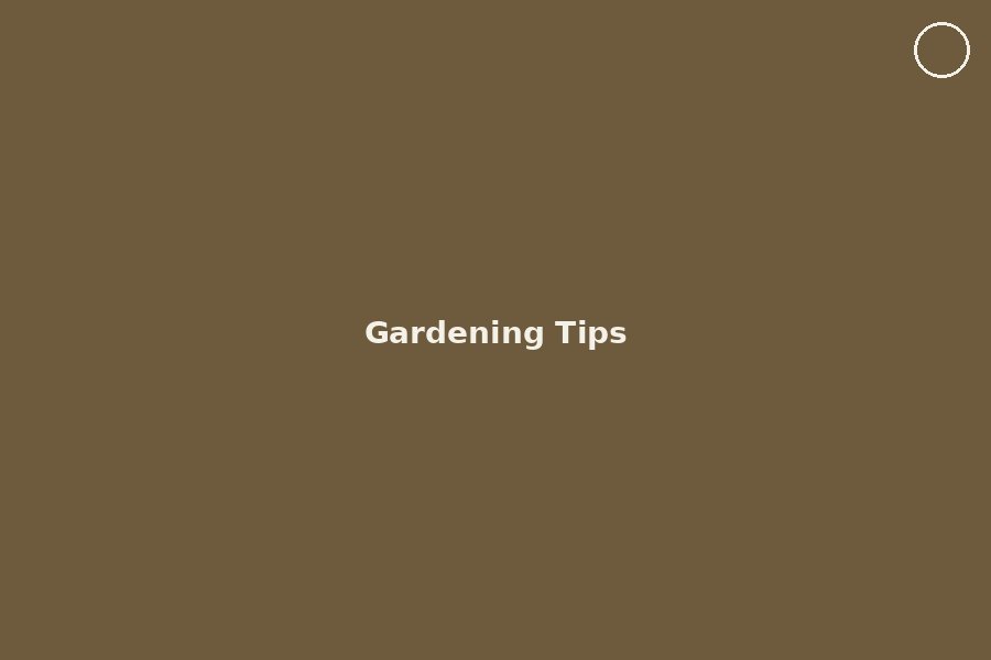 Starting a Grow Bag Garden on a Kolkata Terrace