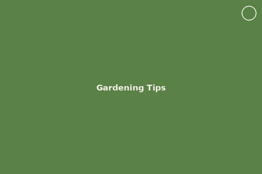 A Simple Monthly Feeding Schedule for Flowering Plants