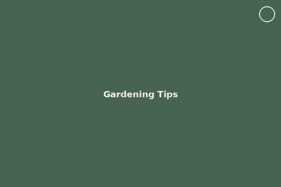 Pruning Basics: Where to Cut and Why It Matters